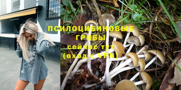 соль курить ск Вязьма